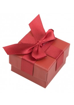 RP51 CAJA PULSERA  233x53x25 mm.