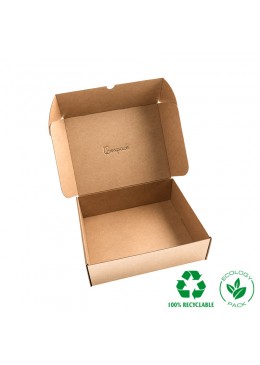 CAJA KRAFT PARA ENVIO JOYERIA 260x210x80 mm CE-260-K