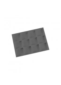 BANDEJA EXPOSITORA 315x225x30 MM CD-BJ-12-H-NP