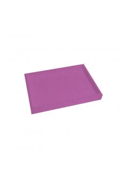 BANDEJA EXPOSITORA 315x225x30 MM CD-BJ-U-V