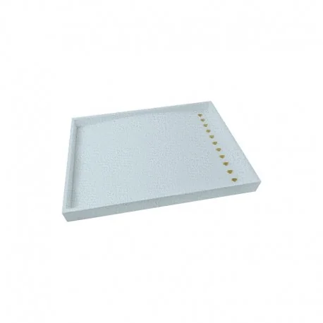 BANDEJA EXPOSITORA 315x225x30 MM CD-BJ-G-V