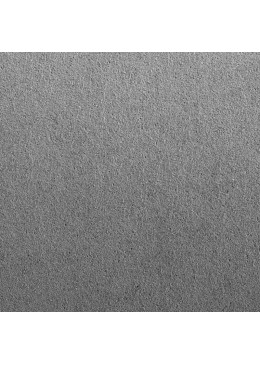 BANDEJA EXPOSITORA 315x225x30 MM CD-BJ-12-C-MF