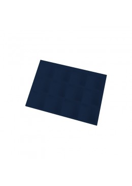 BANDEJA EXPOSITORA 315x225x30 MM CD-BJ-12-CG-NP