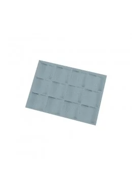 BANDEJA EXPOSITORA 315x225x30 MM CD-BJ-12-P-V