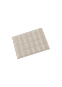 BANDEJA EXPOSITORA 315x225x30 MM CD-BJ-24-PO-NP