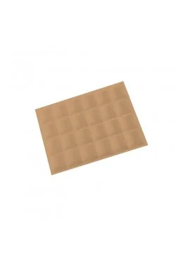 BANDEJA EXPOSITORA 315x225x30 MM CD-BJ-24-PO-NP