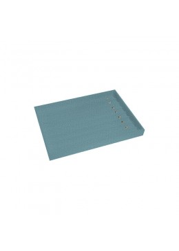 BANDEJA EXPOSITORA 315x225x30 MM CD-BJ-C-V