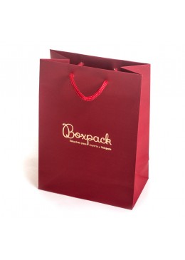 B-M  BOLSA DE PAPEL 120x150x65 mm.