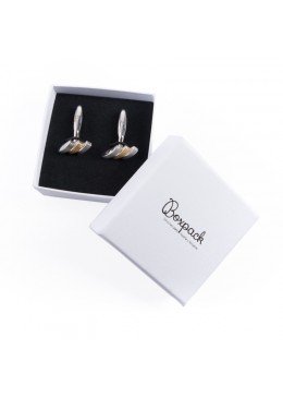 Caja de carton para gemelos MP-61-G