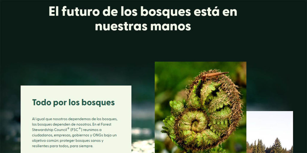 FSC certificacion bosques